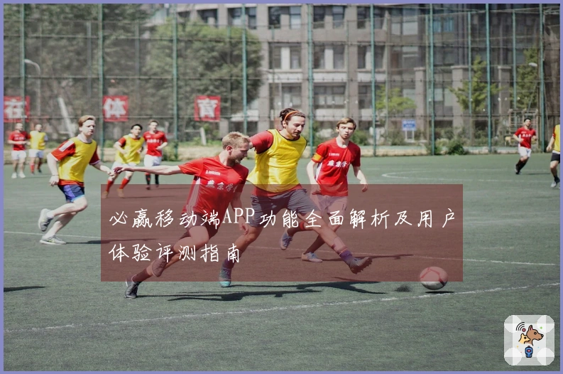 必赢移动端APP功能全面解析及用户体验评测指南